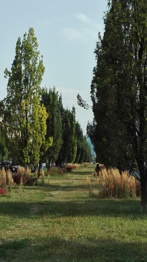 Apartament Krakowski Styl Exteriér fotografie